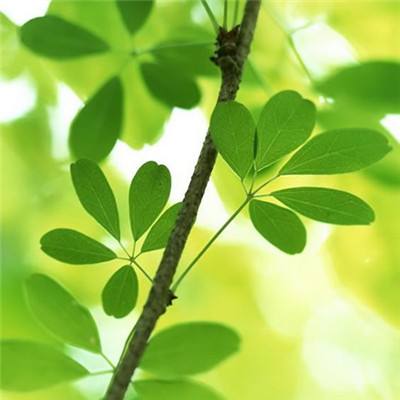 爱游戏app下载手机版截图